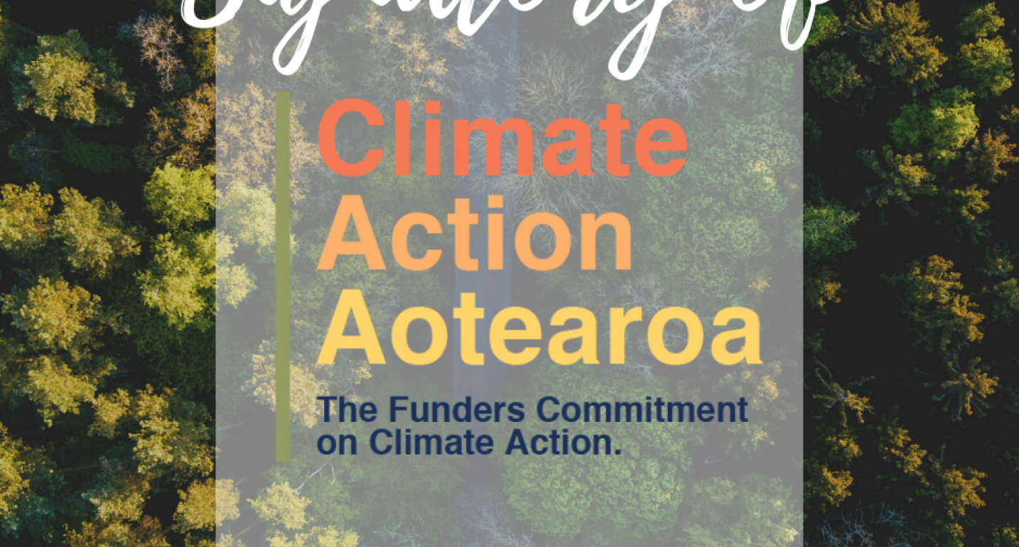 Climate Action Aotearoa Image 2
