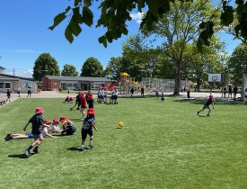 IMG 0622 2 1