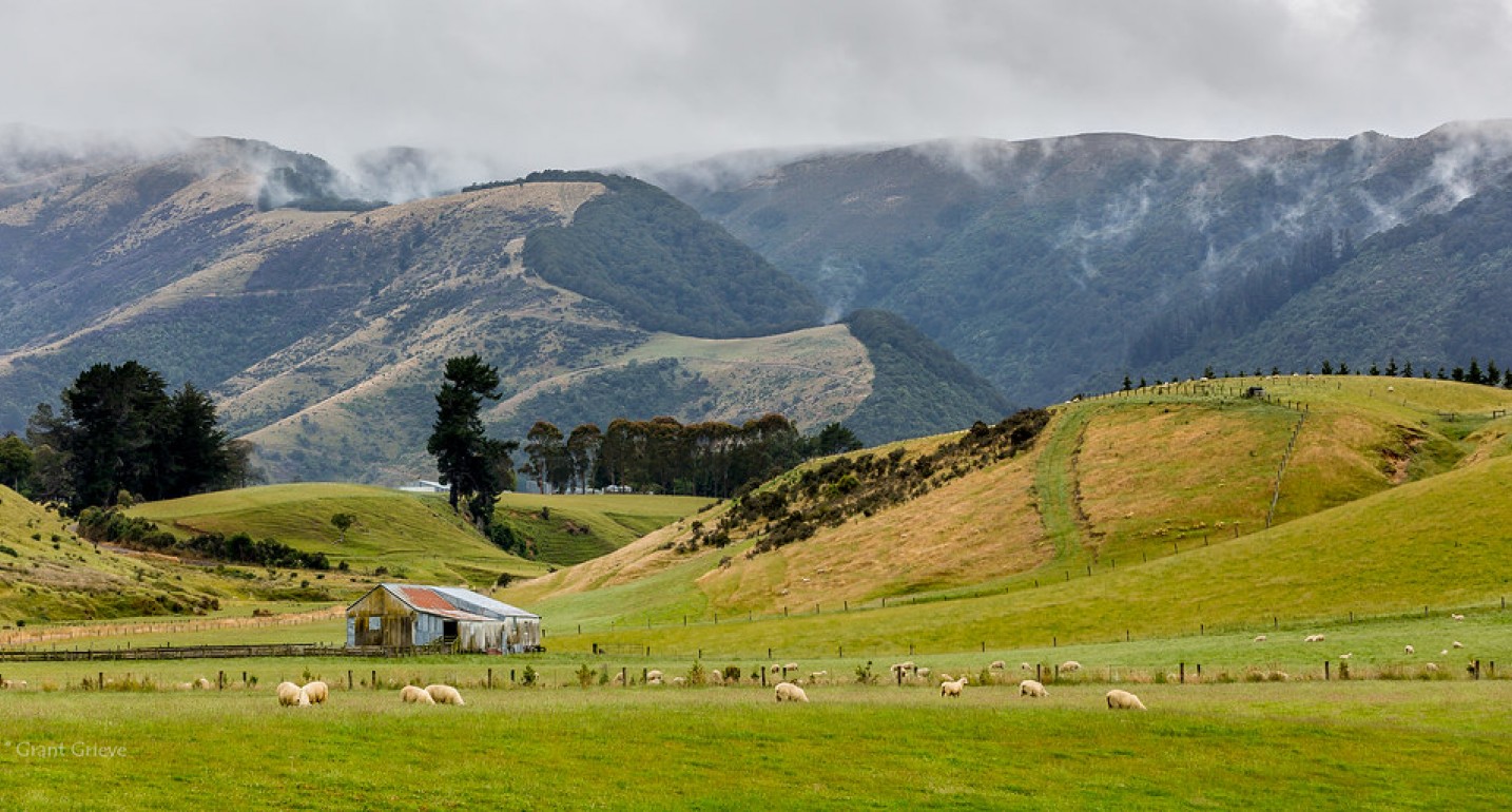 Tapanui