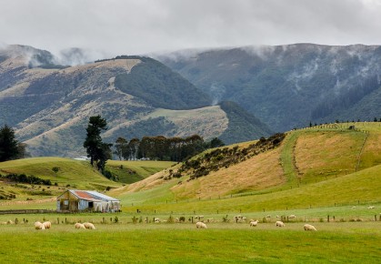 Tapanui